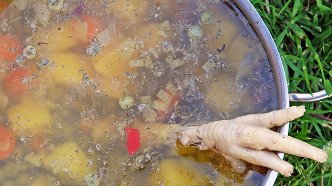 You have to drink chicken soup and eat chicken