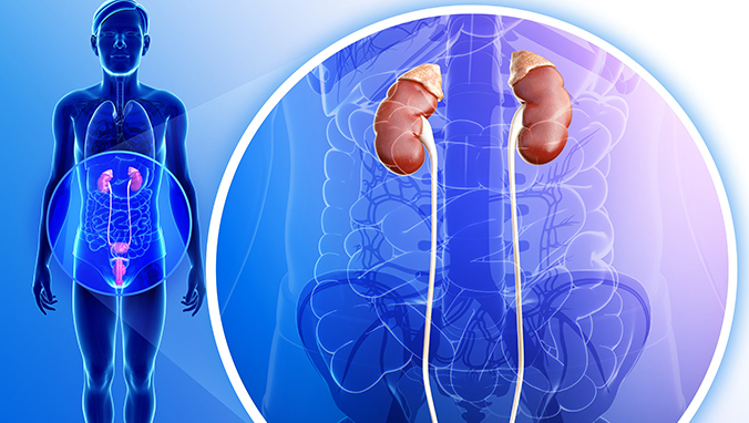 Is the adrenal tumor a kidney cancer?