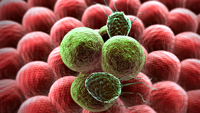 How long can brain metastasis of small cell lung cancer live?