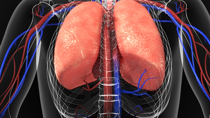 How much is lung cancer chemotherapy at a time